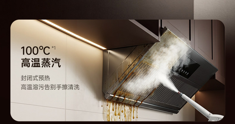 高圧スチームクリーナー、多機能オールインワンスチーム洗浄機、 - Kitchen Appliances For Home のレビューと価格